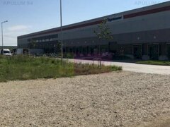 Teren Domnesti- Depozit Emag